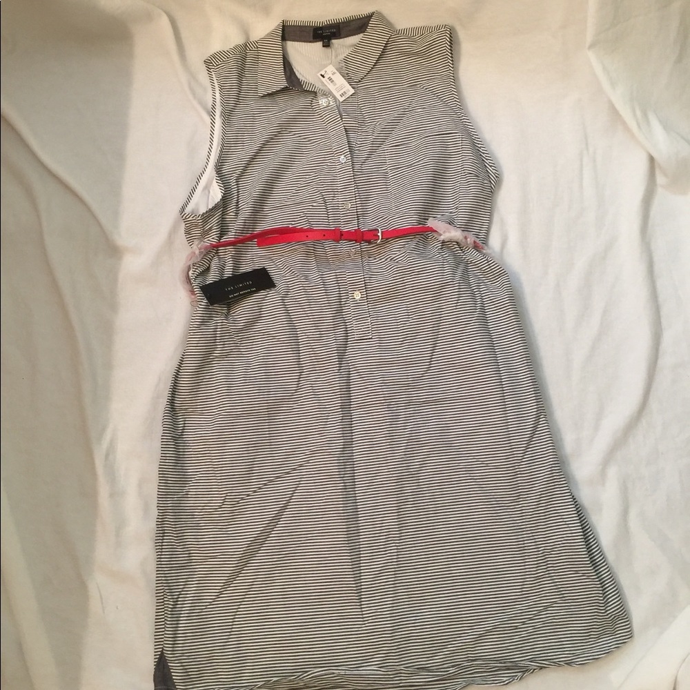 The Limited Ashton dress